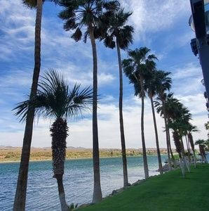 Meet your Posher, Celeste